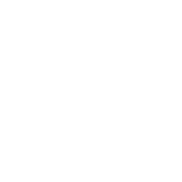 Kopte Logo