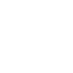 DomoDomo